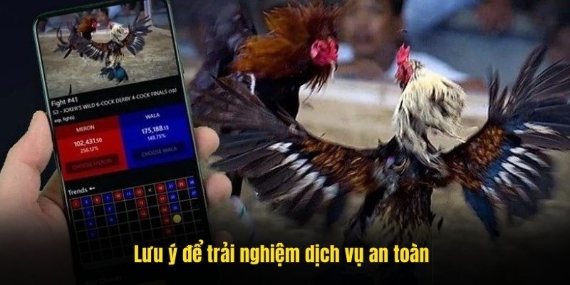 Lưu ý để trải nghiệm dịch vụ an toàn