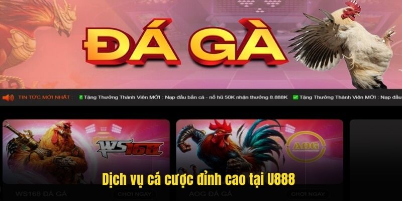 Dịch vụ cá cược đỉnh cao tại U888